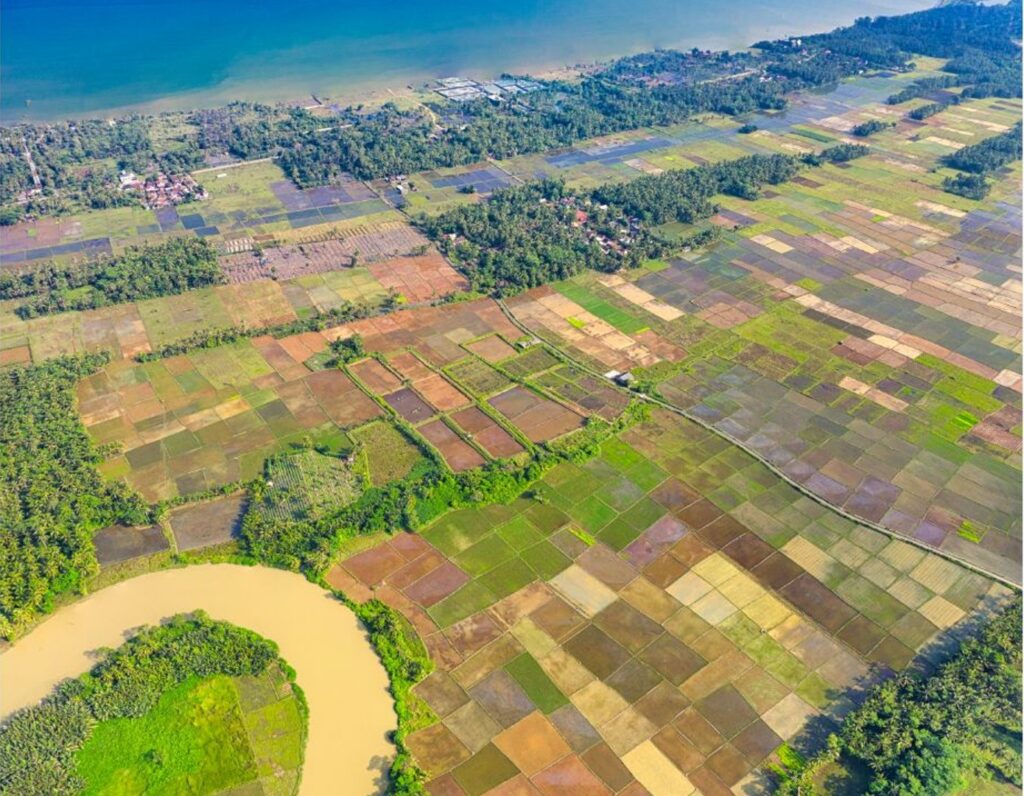 aerial view of land