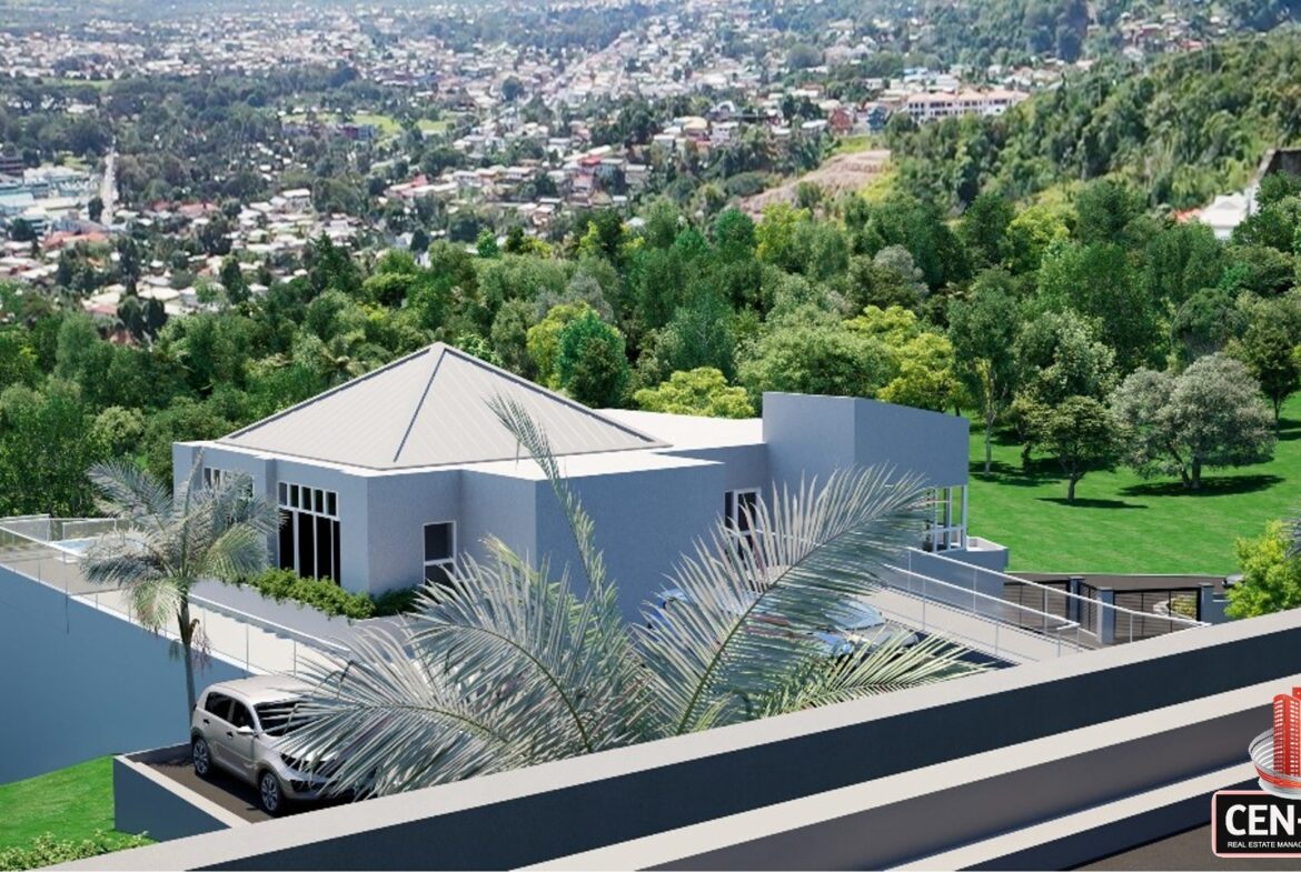 Rendering of a house with a car parked on the roof
