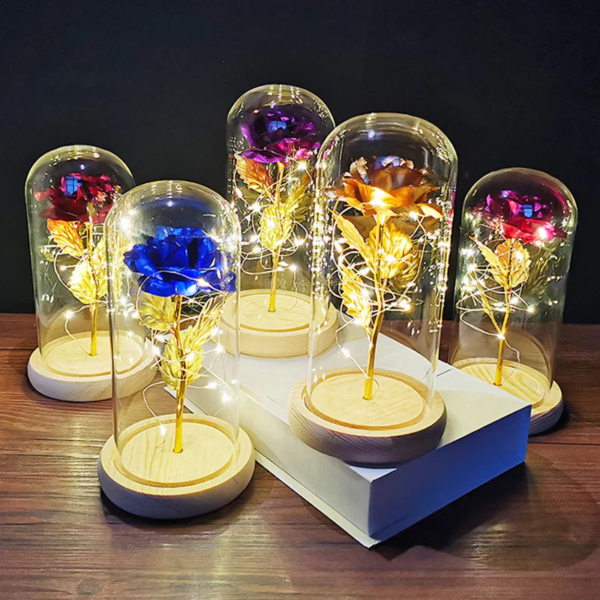 A collection of Eternal Love Glass Roses in different colors, each encased in a glass dome with warm LED lights.