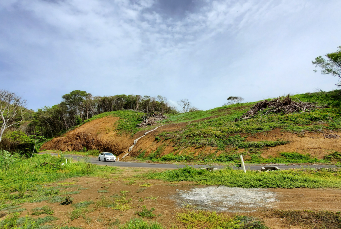 A panoramic view of a winding road leading through lush green hills and tropical vegetation at Hope Estate, Tobago. A car is driving along the road, showcasing the accessibility of the community.