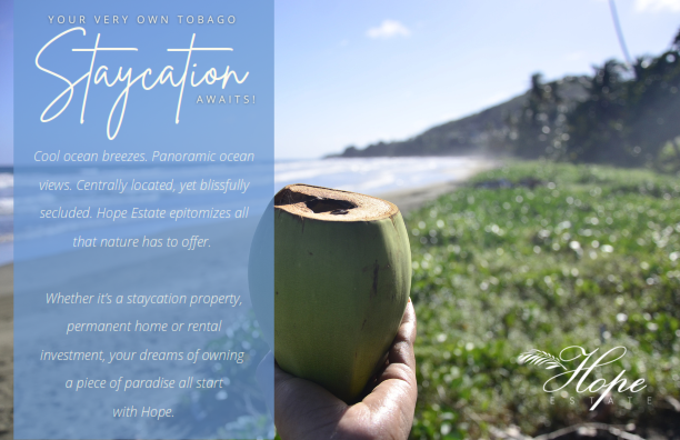 A person holding a coconut on a beautiful beach in Tobago, with lush green hills in the background.