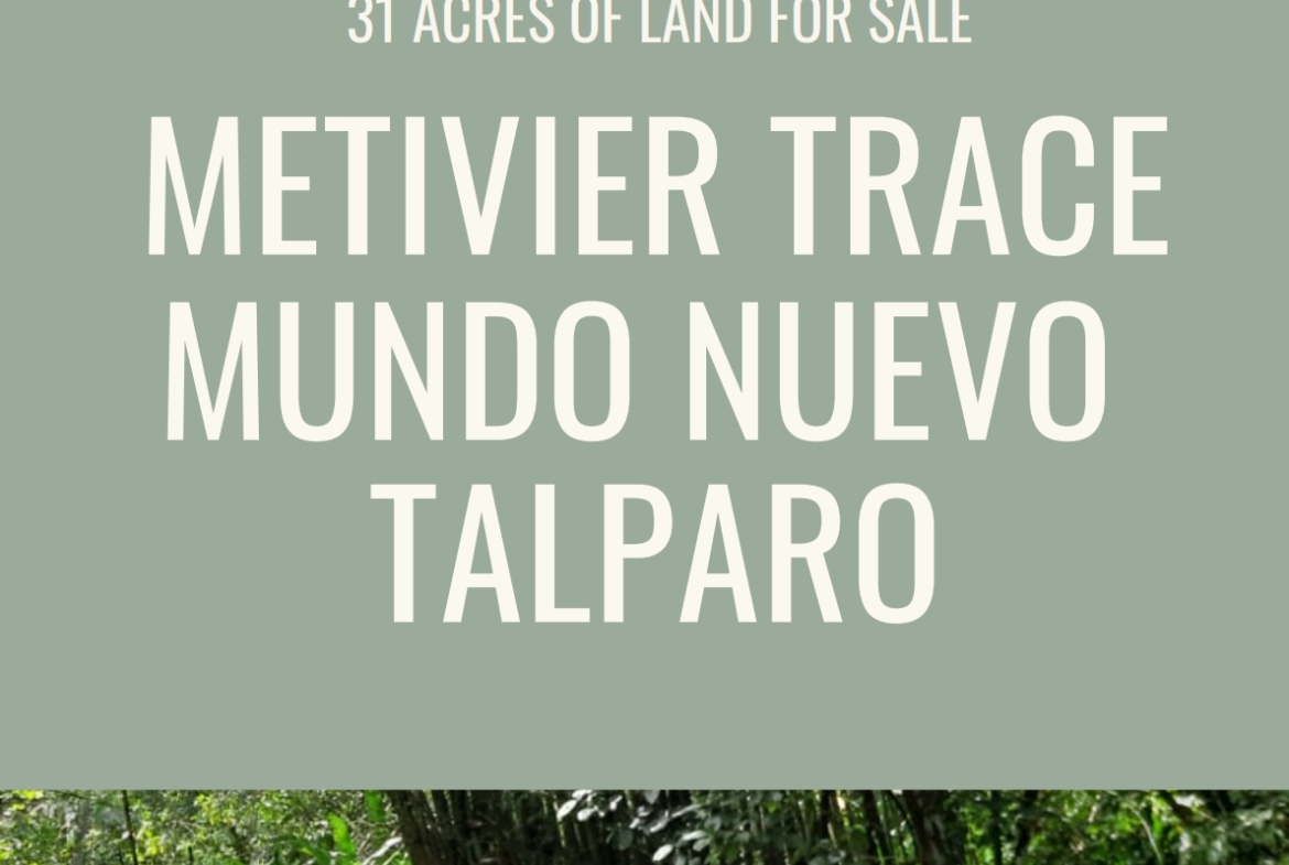 Land Investment Opportunity In Talparo