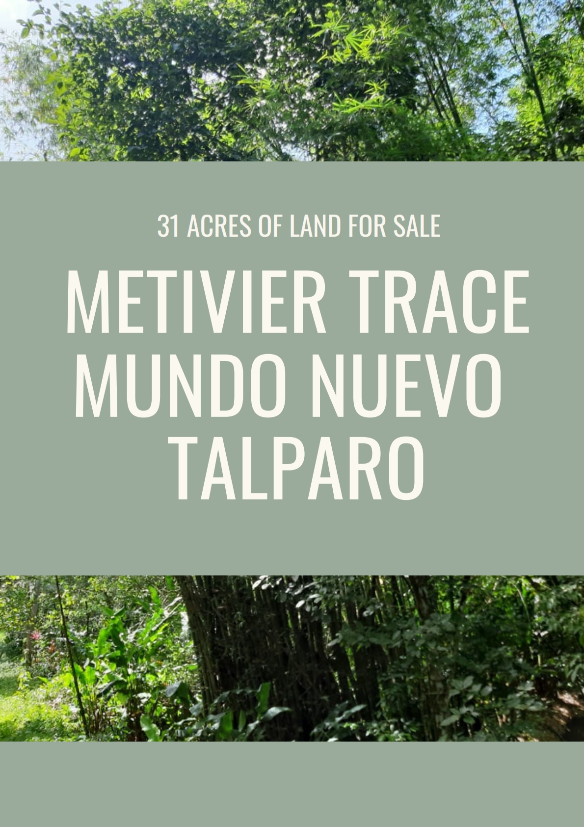 Land Investment Opportunity In Talparo