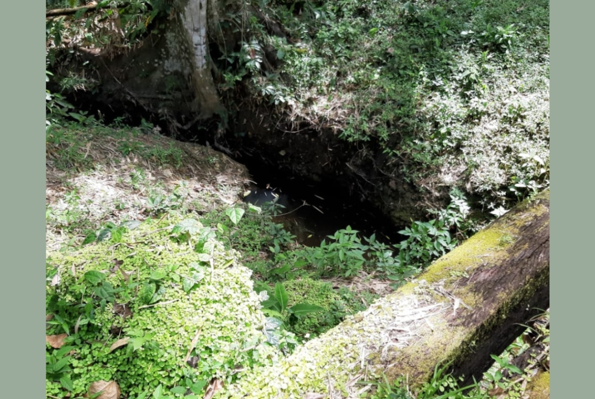 Photo showcasing the natural drainage system on the 31-acre property in Metivier Trace, Talparo, Trinidad.