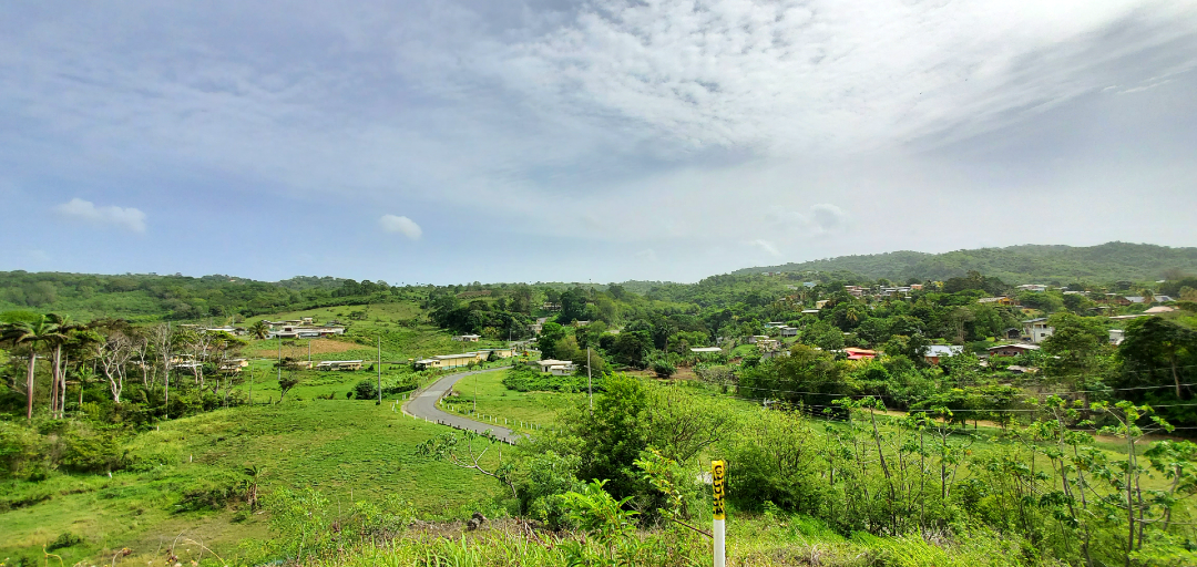 A panoramic view of Hope Estate, Tobago, showcasing lush green hills, a winding road, and a small village nestled amidst the natural beauty.