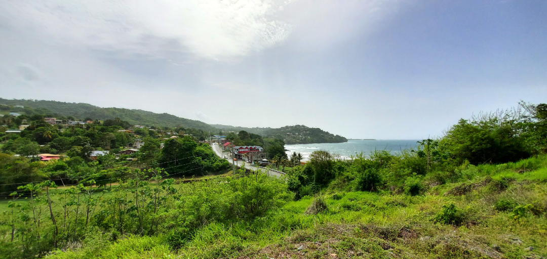 A panoramic view of the coastline from Hope Estate, Tobago, showcasing lush green hills, a winding road leading to the beach, and the sparkling Caribbean Sea in the distance.