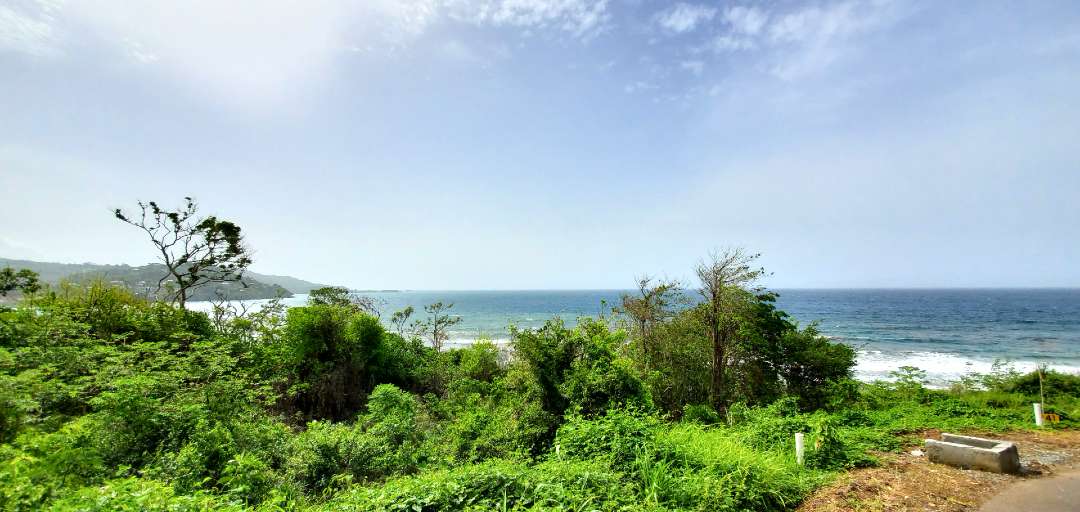 A panoramic view of the Caribbean Sea from Hope Estate, Tobago, with lush green vegetation framing the stunning coastal scenery.