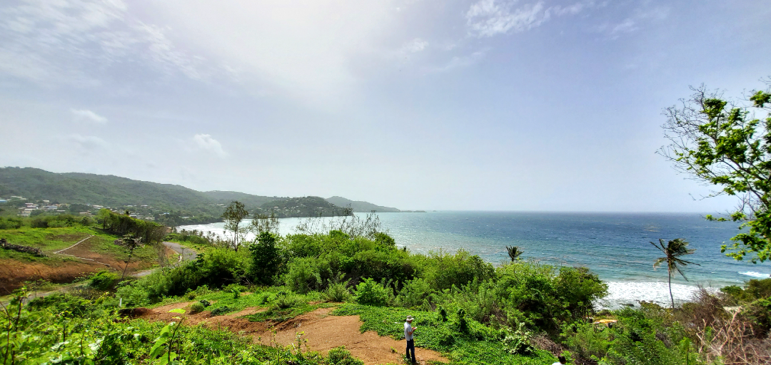 A panoramic view of the Caribbean Sea from Hope Estate, Tobago, with lush green vegetation in the foreground and a small village nestled along the coastline.