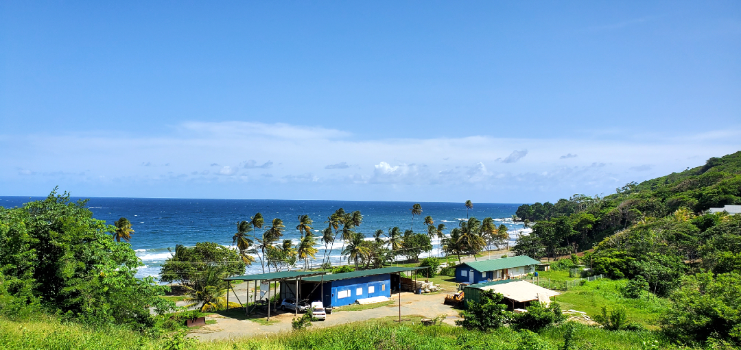 A panoramic view of the Caribbean Sea with palm trees swaying in the breeze, a beach, and a small village with colorful buildings at Hope Estate, Tobago.