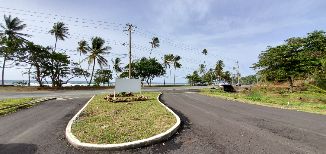 A scenic road leading to the beach at Hope Estate, Tobago, with palm trees swaying in the breeze and the ocean in the background.