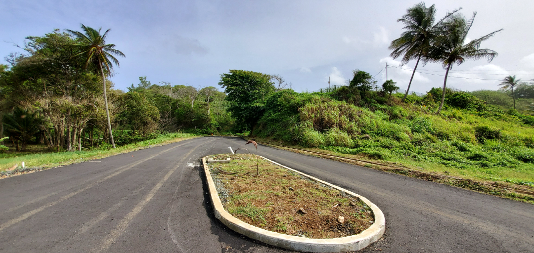 A winding road through the lush green landscape of Hope Estate, Tobago, with palm trees swaying in the breeze.