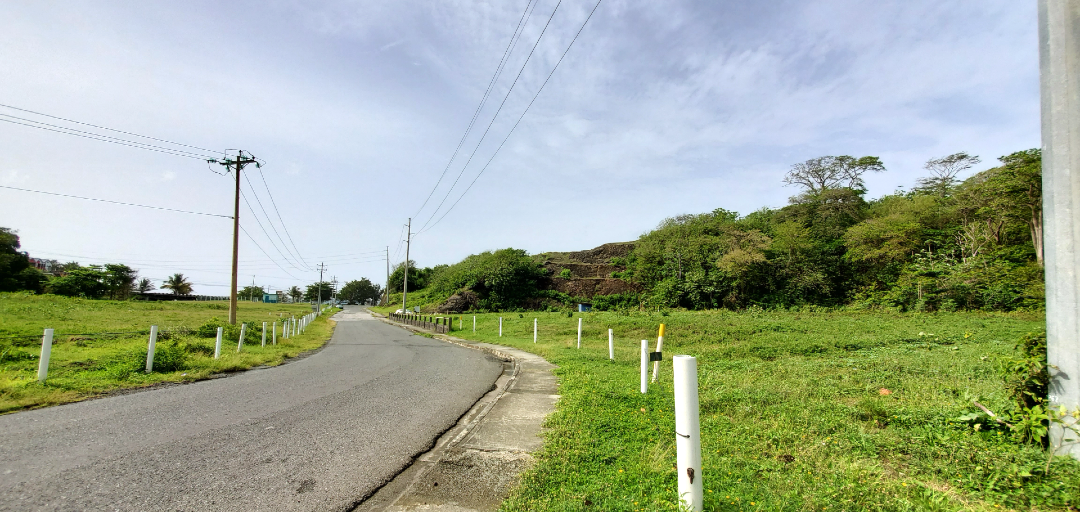 A scenic roadway at Hope Estate, Tobago, with lush green fields and a view of the surrounding hills.