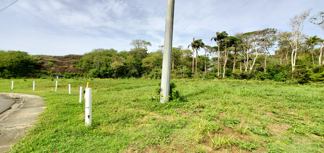 A vacant plot of land at Hope Estate, Tobago, with lush green grass and mature trees in the background.