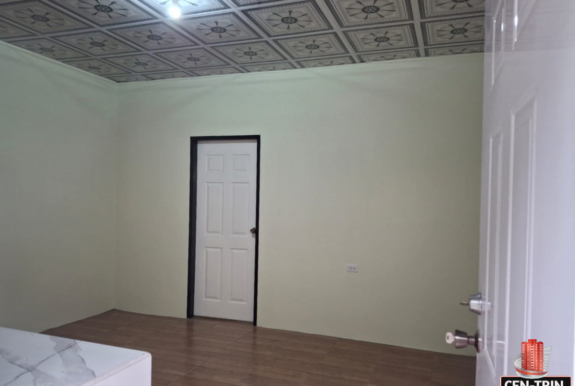 Interior view of an apartment room with light green walls, a decorative patterned ceiling, and a white door leading to another room. Part of a white countertop is visible in the foreground.