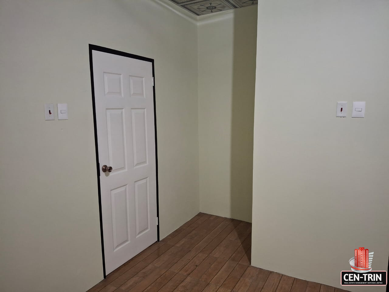 Interior view of a room in an apartment featuring light green walls, a patterned ceiling, a white six-panel door with a black frame, wood-look vinyl flooring, and two white electrical outlets on the wall.